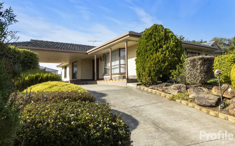 14 Lisa Court, Paradise SA 5075