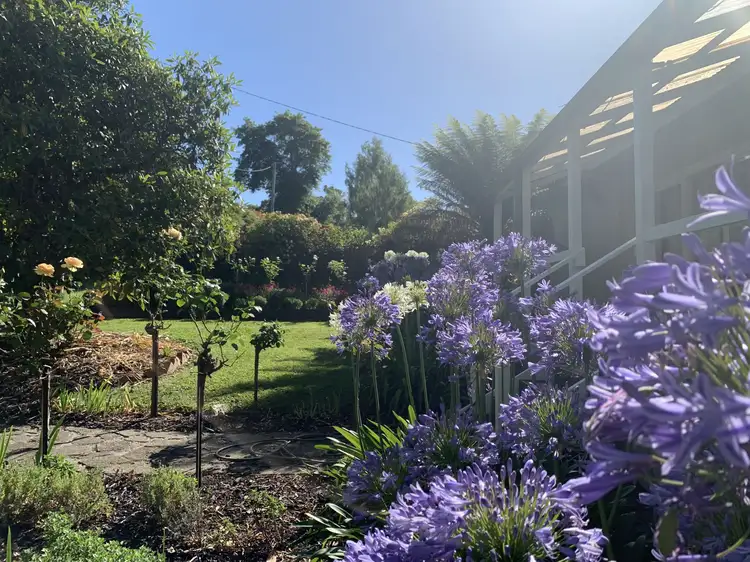 Sixth view of Homely house listing, 545 Warburton Highway, Seville VIC 3139