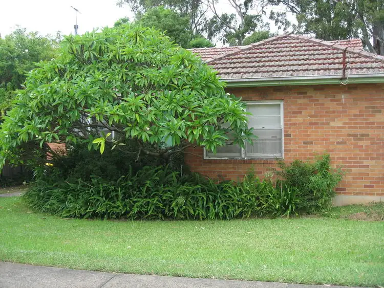 9 Macarthur Crescent, Westmead NSW 2145