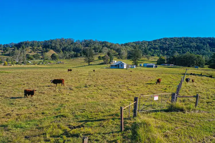 Second view of Homely rural property listing, 663 Jiggi Road, Jiggi NSW 2480