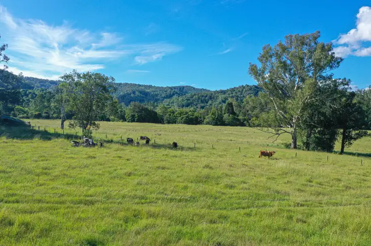 Sixth view of Homely rural property listing, 5311 Kyogle Road, Cawongla NSW 2474