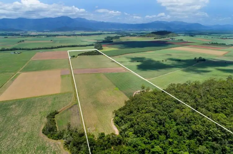 1 Morgan Road, Gordonvale QLD 4865