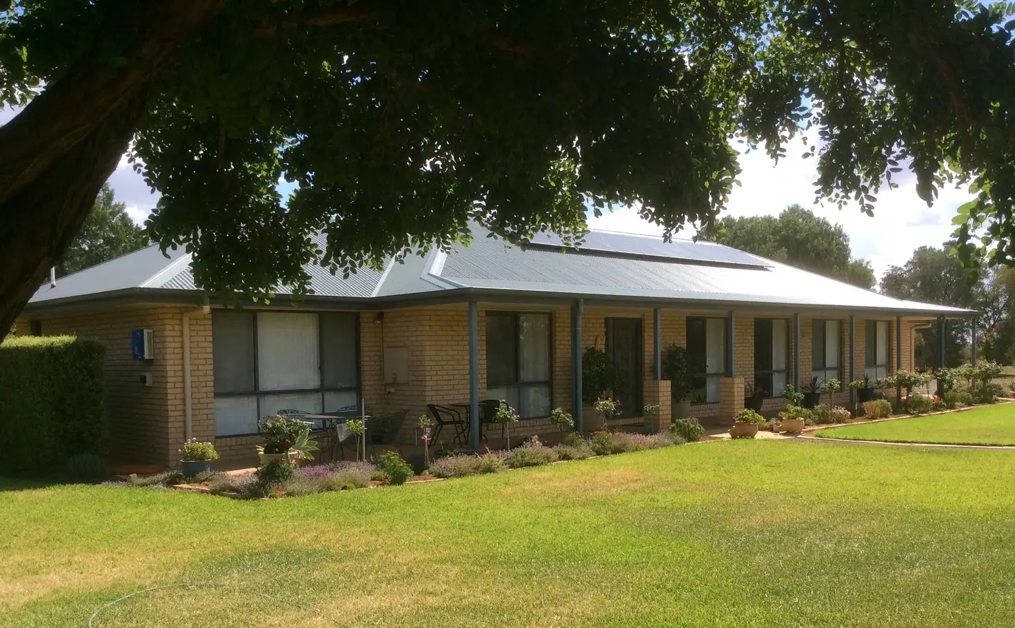 Main view of Homely rural property listing, 1484 Arcadia Lane, Goolgowi NSW 2652