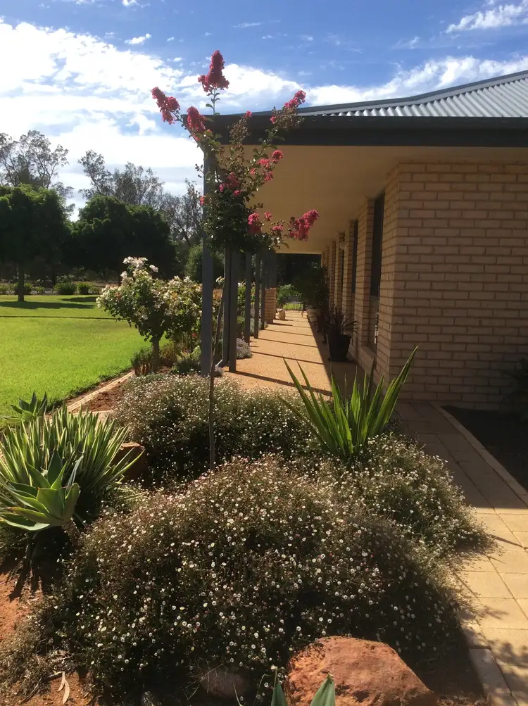 Second view of Homely rural property listing, 1484 Arcadia Lane, Goolgowi NSW 2652