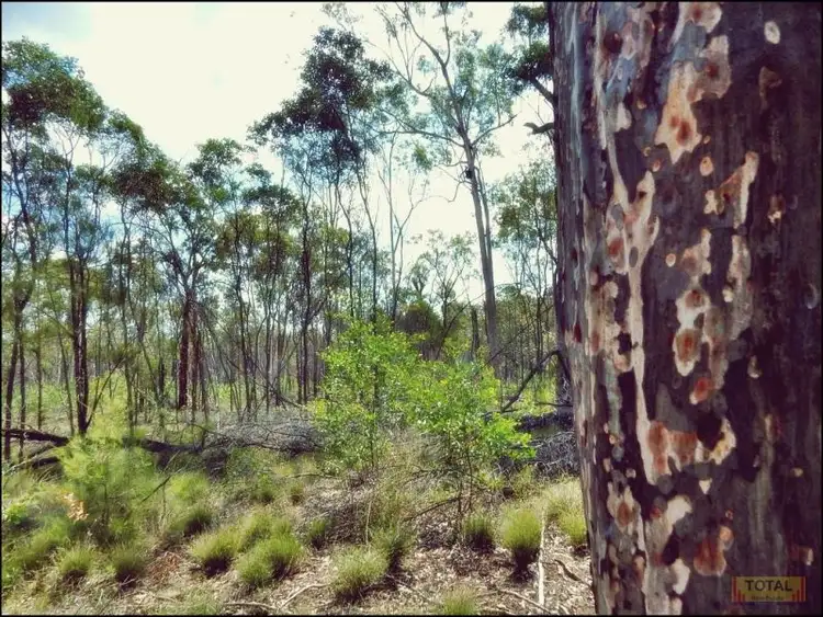 Second view of Homely land listing, Lot 30 Milky Way Road, Fairyland QLD 4413