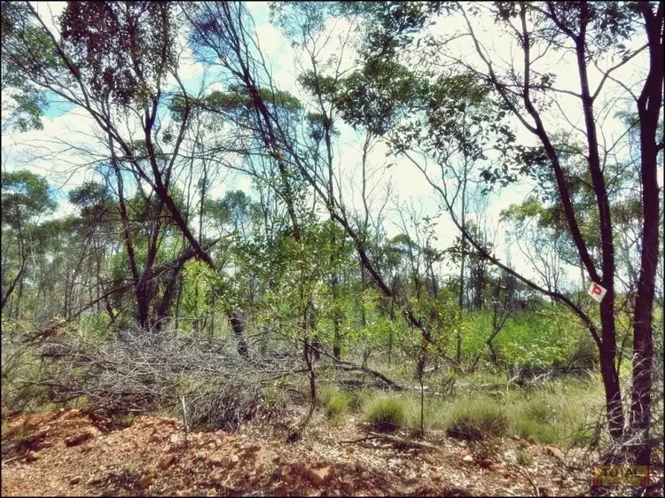 Fifth view of Homely land listing, Lot 30 Milky Way Road, Fairyland QLD 4413