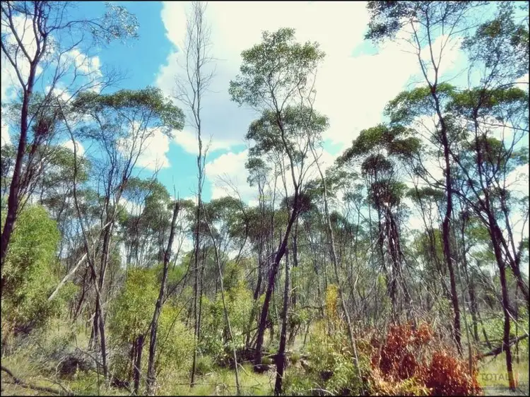 Seventh view of Homely land listing, Lot 30 Milky Way Road, Fairyland QLD 4413