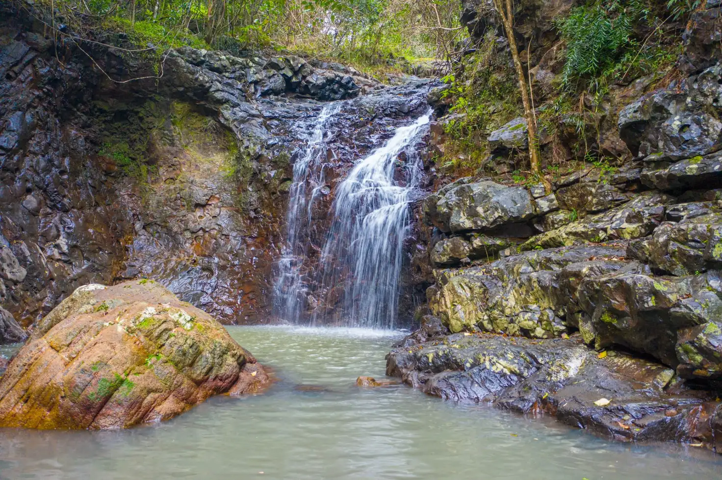Main view of Homely rural property listing, 222 Bishops Creek Road, Coffee Camp NSW 2480
