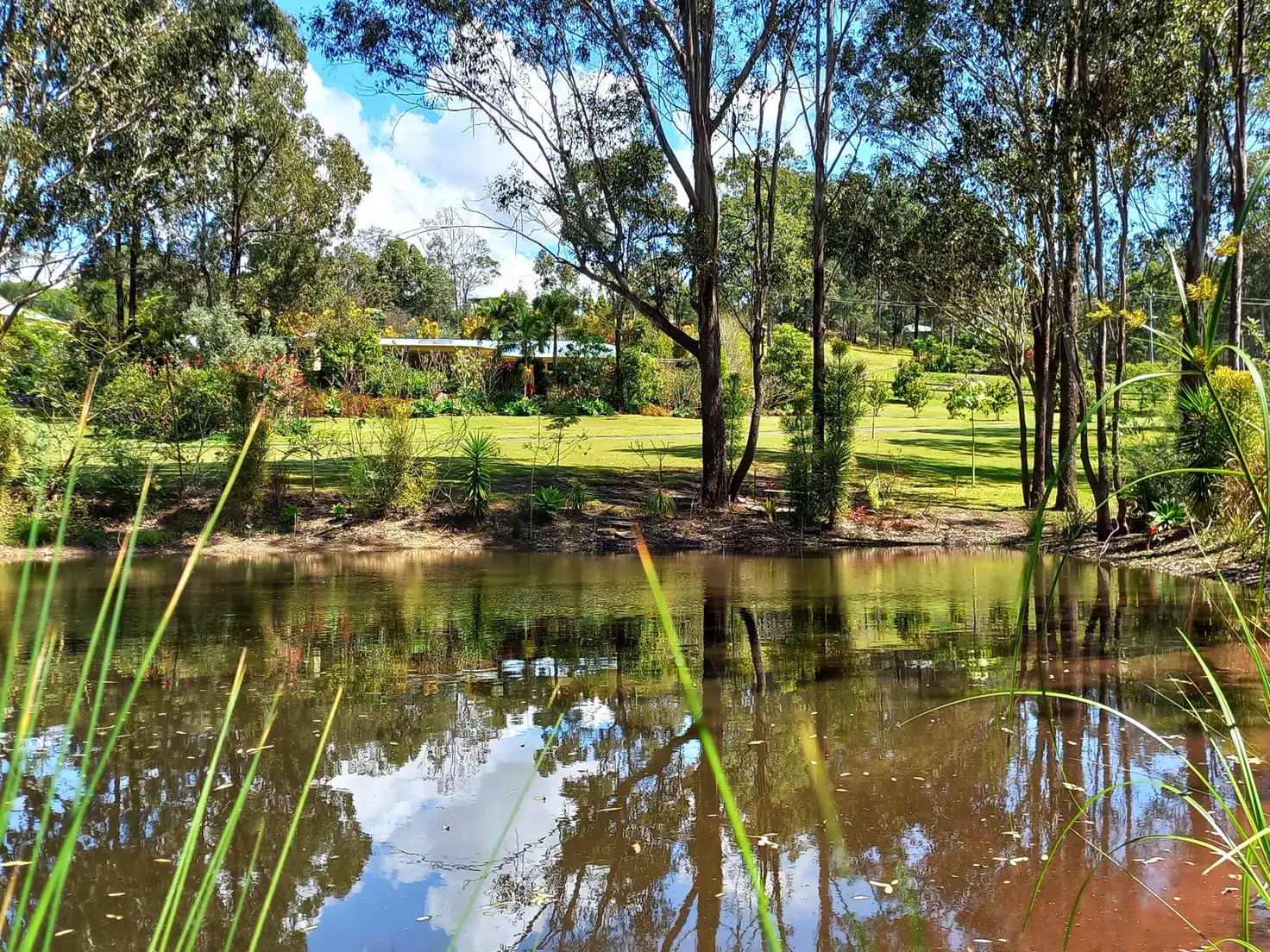 Main view of Homely rural property listing, 217-229 Beattie Road, Mundoolun QLD 4285
