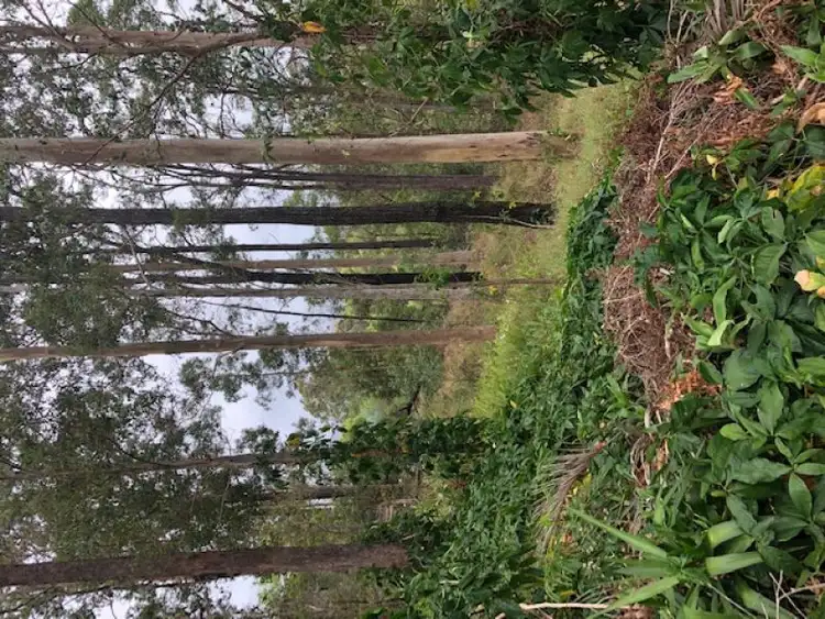 Seventh view of Homely land listing, Lot 87 Hobbs Road, Buderim QLD 4556