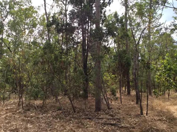 Third view of Homely rural property listing, 83 Kareela Drive, Girraween NT 836