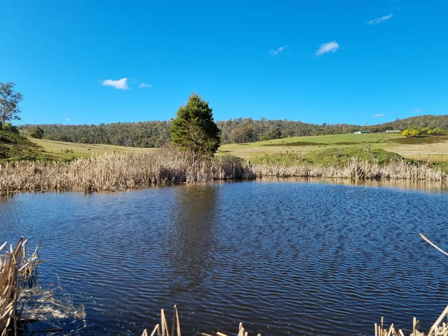 Main view of Homely house listing, 599 Bluff Road, Gretna TAS 7140