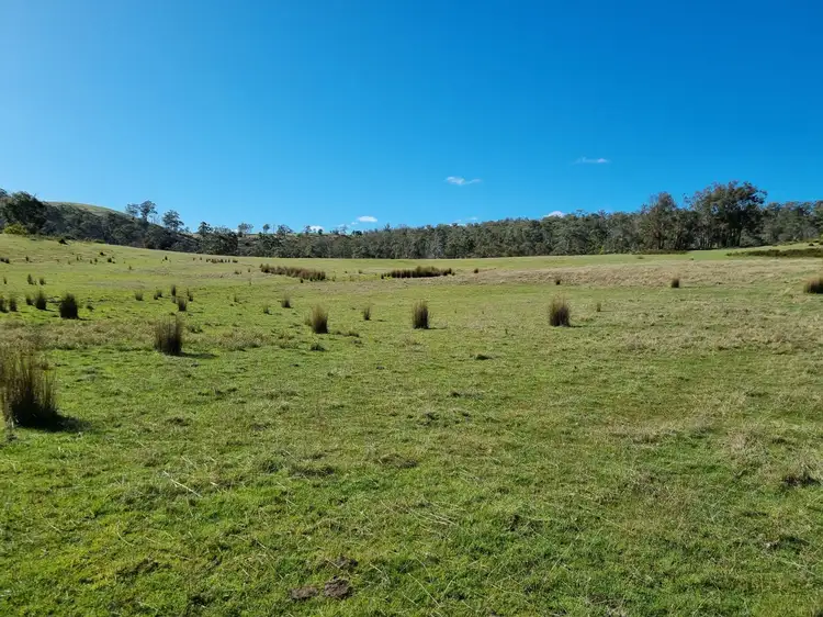 Fourth view of Homely house listing, 599 Bluff Road, Gretna TAS 7140
