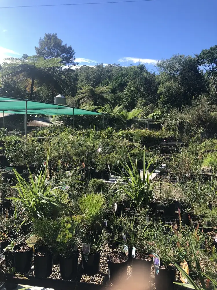 Fifth view of Homely other listing, 178 Boggy Creek Road, Bellingen NSW 2454