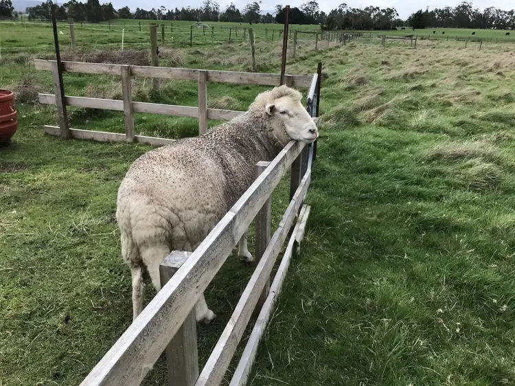 Fifth view of Homely rural property listing, Lot 2 Jumbuk Road, Yinnar VIC 3869