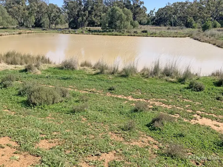 Fourth view of Homely rural property listing, 2049 Dandaloo Rd "Glenmore", Trangie NSW 2823