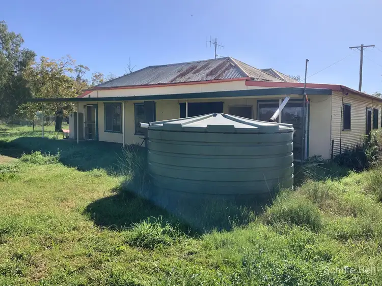 Fifth view of Homely rural property listing, 2049 Dandaloo Rd "Glenmore", Trangie NSW 2823