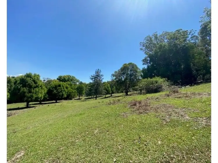 Fourth view of Homely land listing, LOT Lot 4, 236 North Arm Yandina Creek Road, North Arm QLD 4561