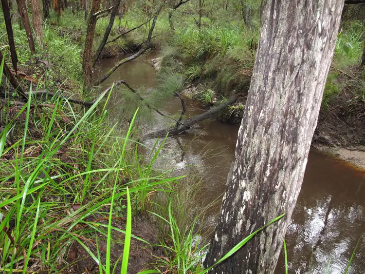 Third view of Homely land listing, 244 Scotsdale Road,, Scotsdale WA 6333
