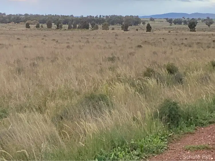 Main view of Homely rural property listing, 146 Haberworth Lane - Burlie, Narromine NSW 2821