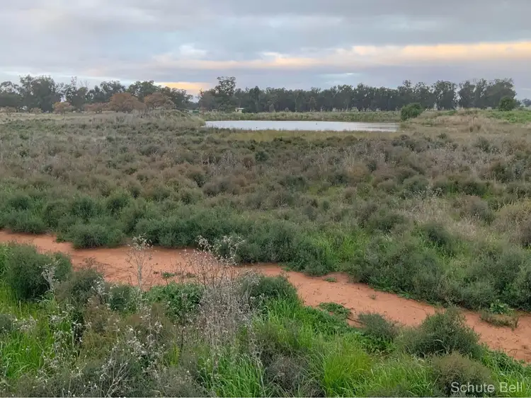 Second view of Homely rural property listing, 146 Haberworth Lane - Burlie, Narromine NSW 2821