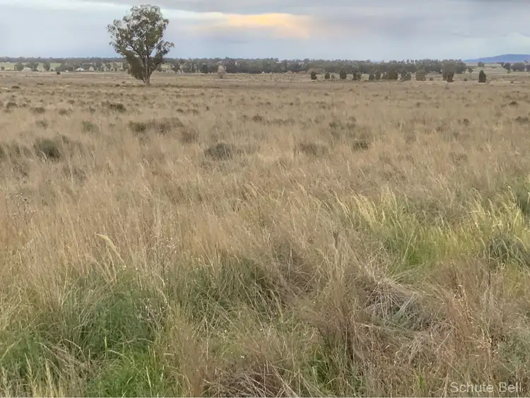Fifth view of Homely rural property listing, 146 Haberworth Lane - Burlie, Narromine NSW 2821