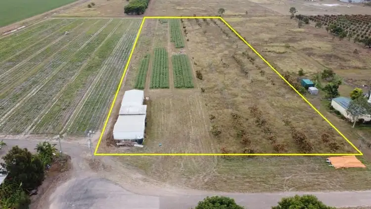 Second view of Homely rural property listing, 72 Mango Avenue, Horseshoe Lagoon QLD 4809