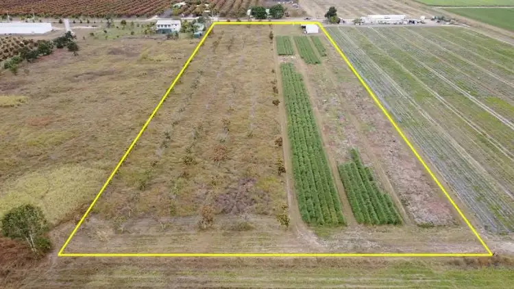 Sixth view of Homely rural property listing, 72 Mango Avenue, Horseshoe Lagoon QLD 4809