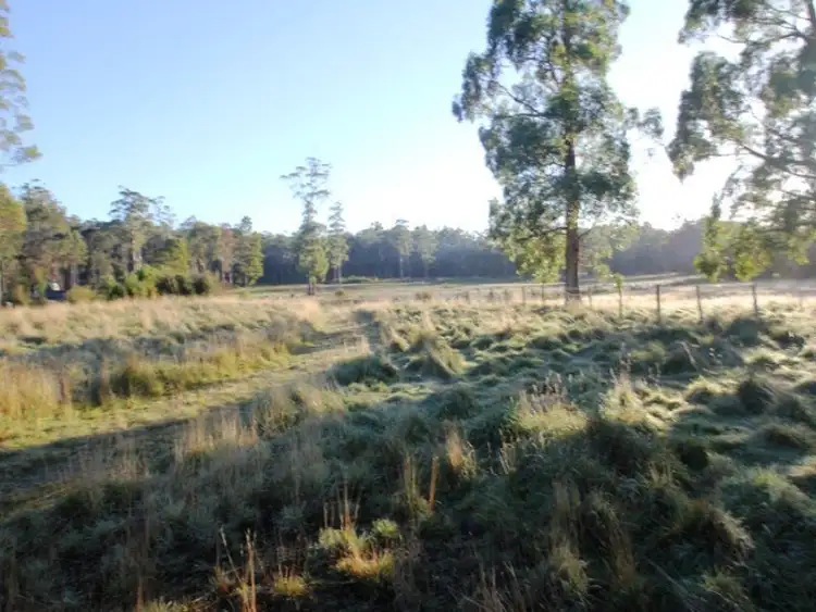 Fourth view of Homely rural property listing, 217 Dixons Road, Christmas Hills TAS 7330