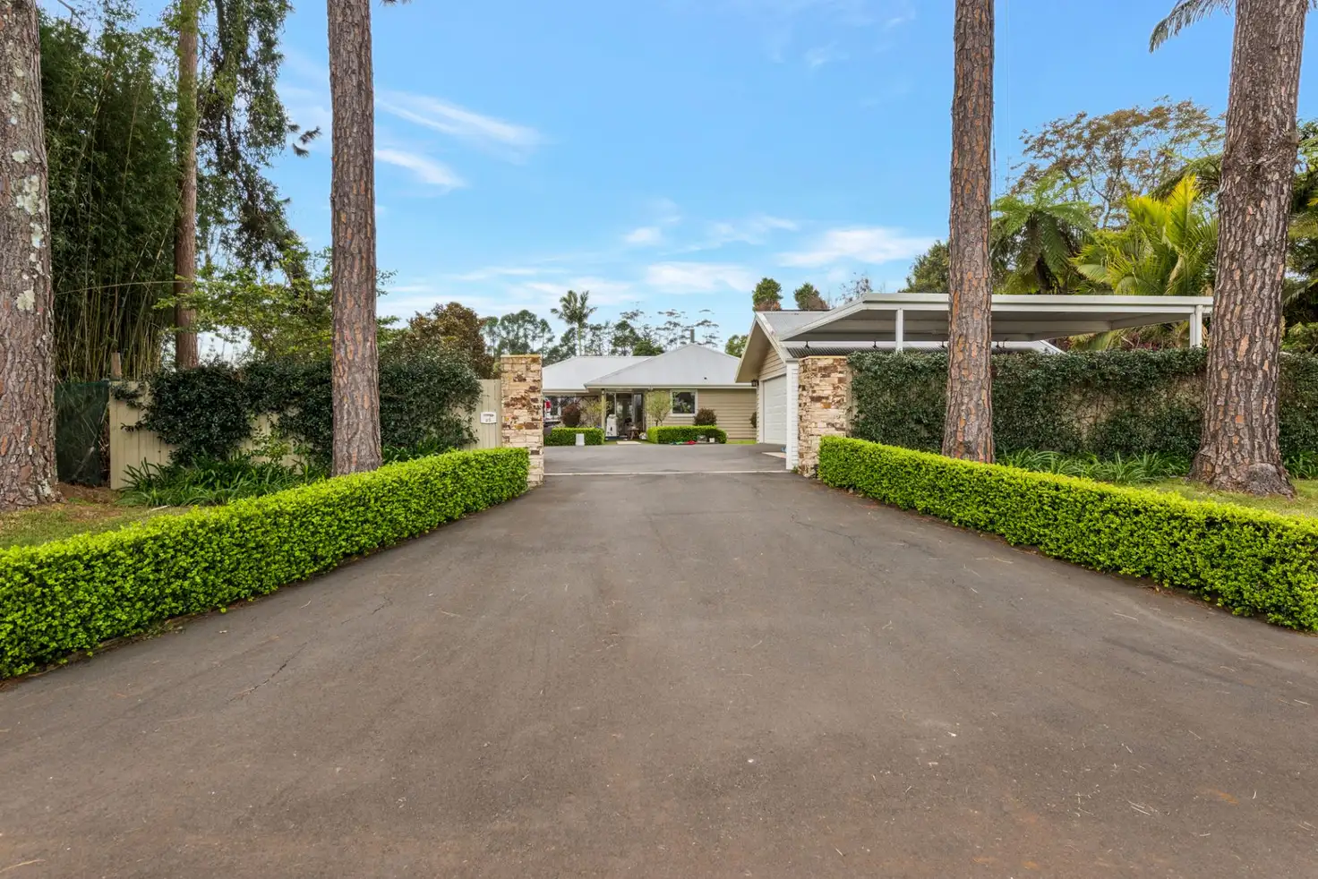 Main view of Homely house listing, 25 Ben Nevis Street, Tamborine Mountain QLD 4272