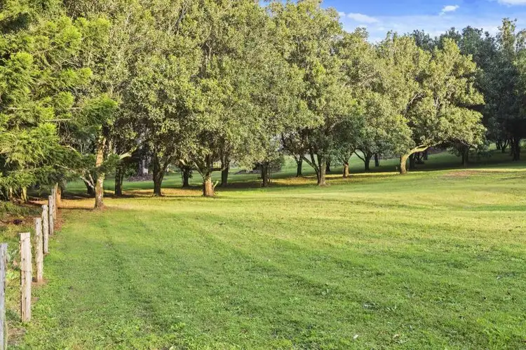 Fifth view of Homely house listing, 15 Strong Court, Montville QLD 4560