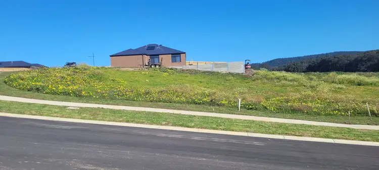 19 Coolabah Place, Moe VIC 3825