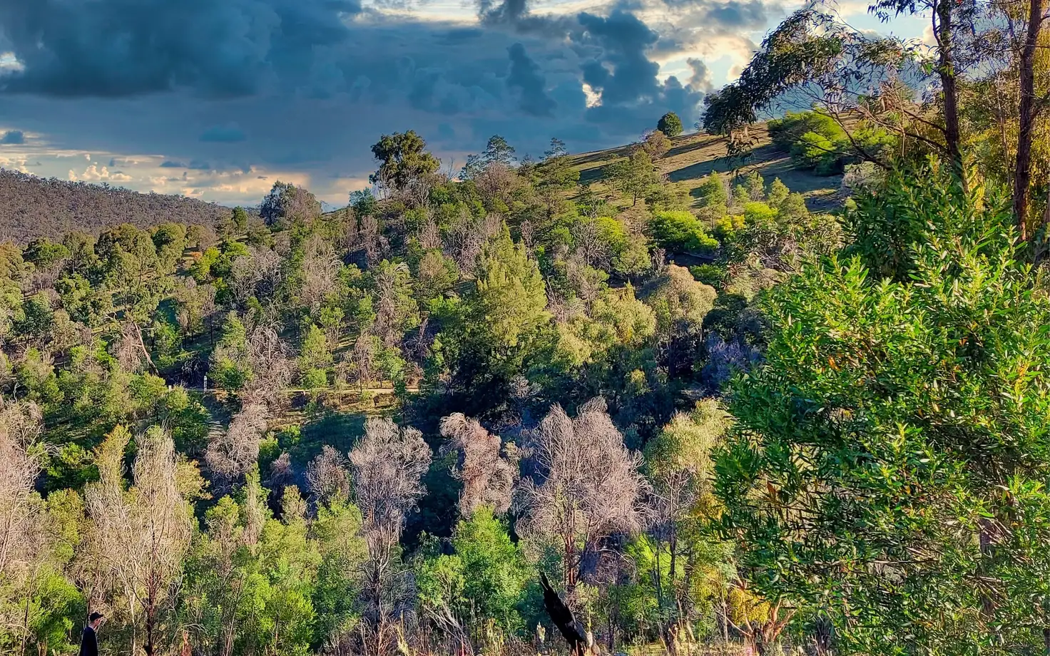 Main view of Homely land listing, Address available on request