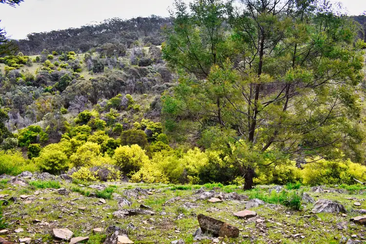 Third view of Homely land listing, Address available on request