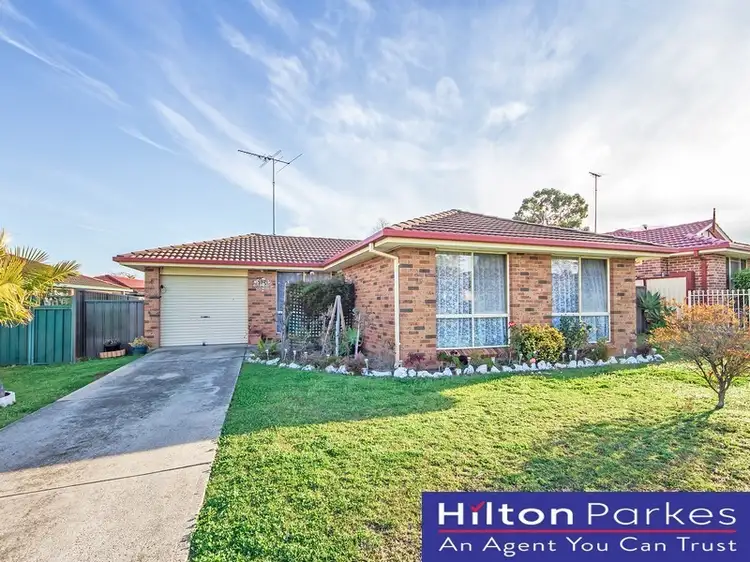 Main view of Homely house listing, 79 Southee Circuit, Oakhurst NSW 2761