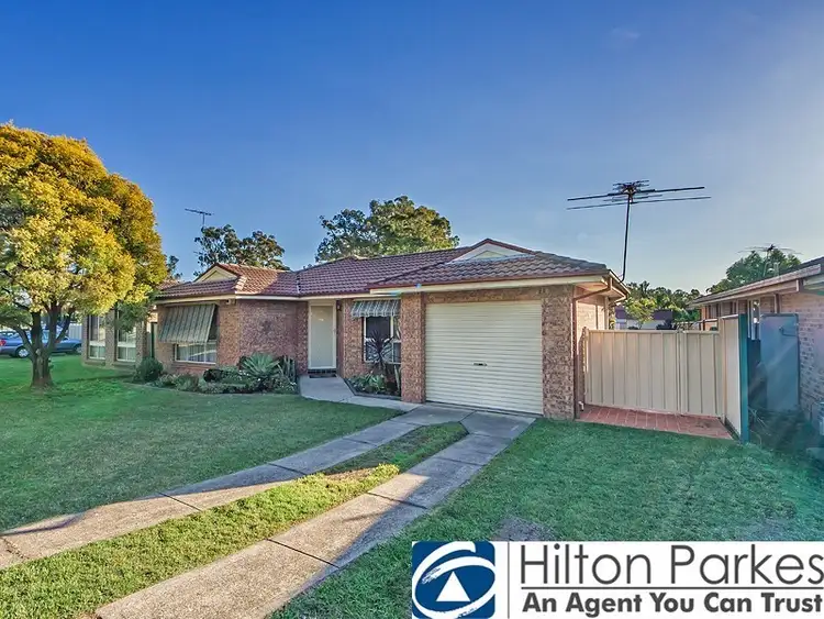Main view of Homely house listing, 47 Amsterdam Street, Oakhurst NSW 2761