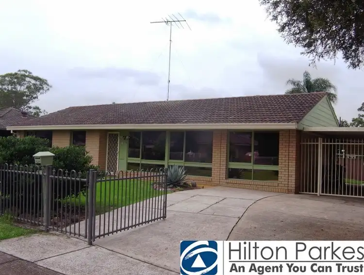 Main view of Homely house listing, 3 Middleton Cres, Bidwill NSW 2770