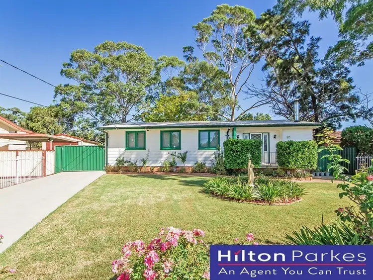 22 Niland Crescent, Blackett NSW 2770