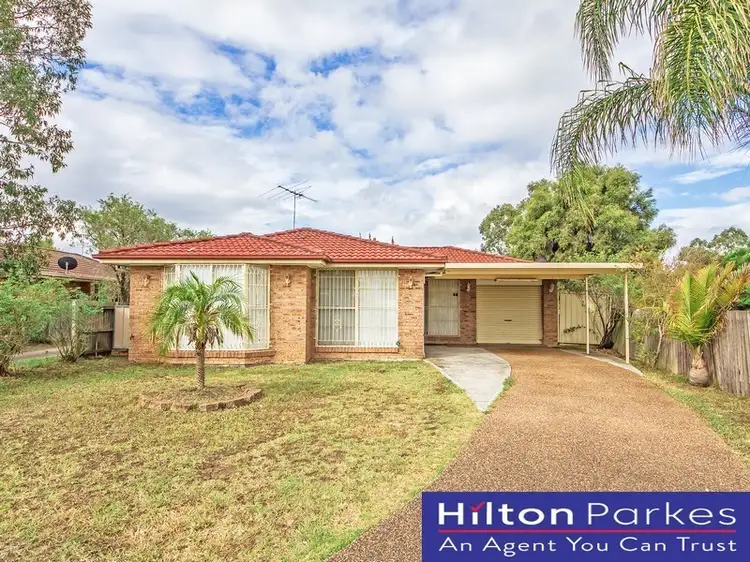 Main view of Homely house listing, 13 Knolton Place, Oakhurst NSW 2761