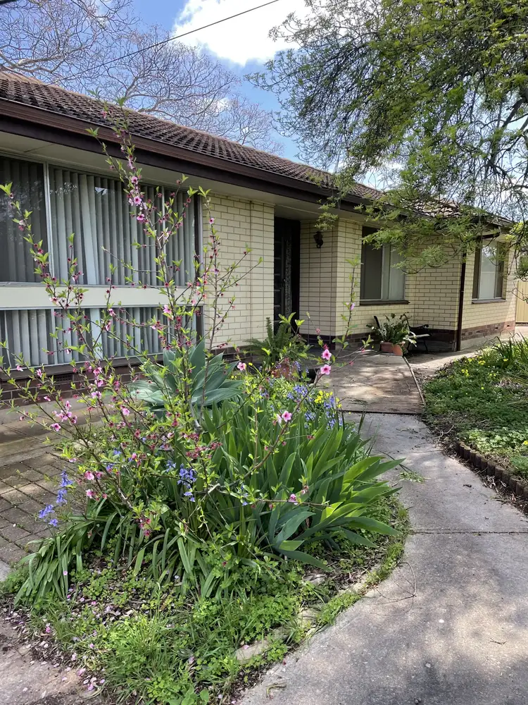 Main view of Homely house listing, 24 Pitana Avenue, Para Vista SA 5093