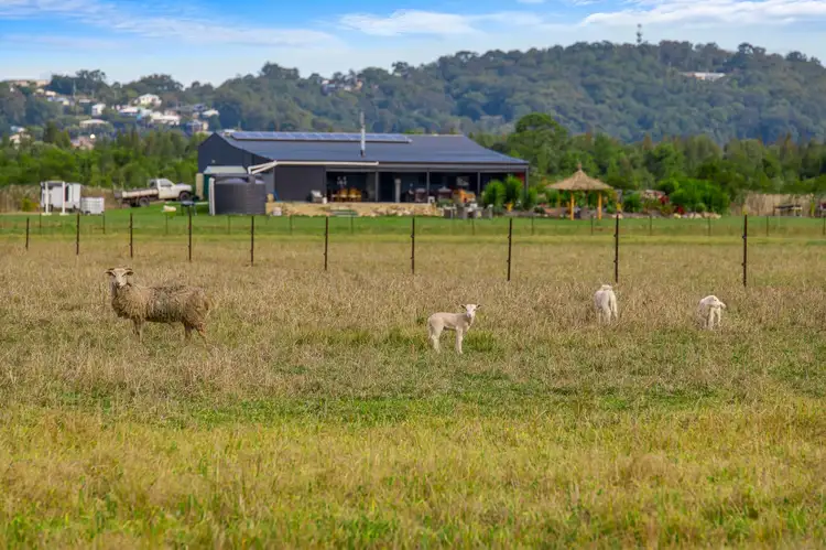 Seventh view of Homely land listing, 198 Burtons Road, Maroochy River QLD 4561