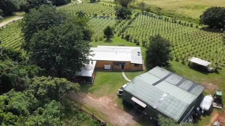 1496 Bramston Beach Road, Bramston Beach QLD 4871