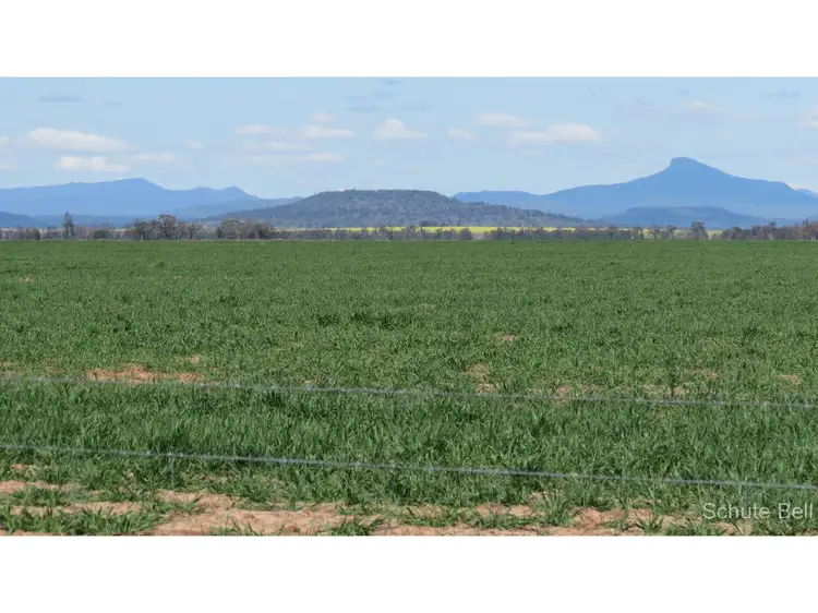 Main view of Homely rural property listing, 136 Murraiman Rd - Almora, Coonamble NSW 2829