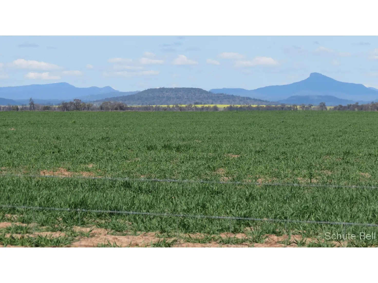 Main view of Homely rural property listing, 136 Murraiman Rd - Almora, Coonamble NSW 2829