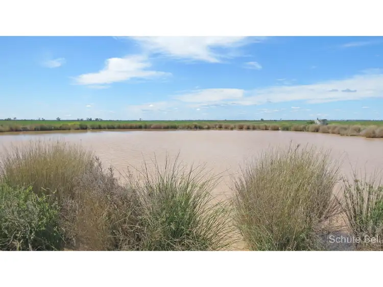 Fifth view of Homely rural property listing, 136 Murraiman Rd - Almora, Coonamble NSW 2829