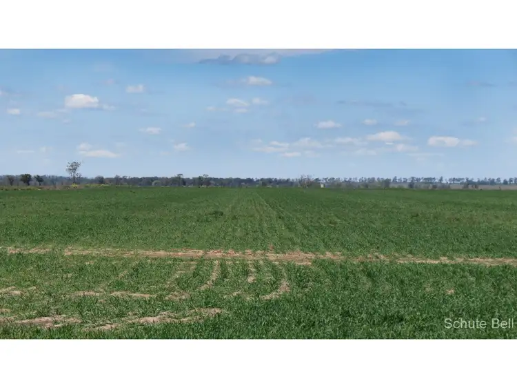Sixth view of Homely rural property listing, 136 Murraiman Rd - Almora, Coonamble NSW 2829