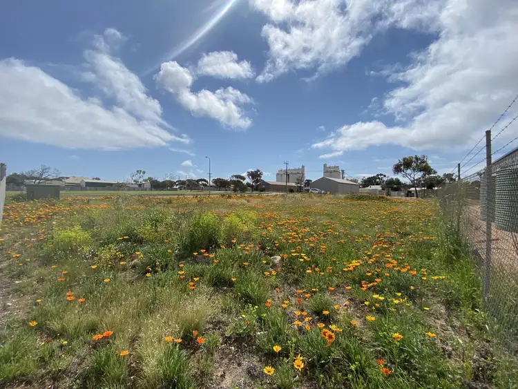 Sixth view of Homely land listing, 20 Mudge Terrace, Streaky Bay SA 5680
