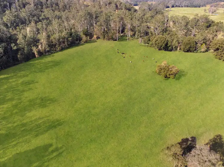 Second view of Homely land listing, Lot1 DP 810064 Iron Pot Creek Road, Ghinni Ghi NSW 2474