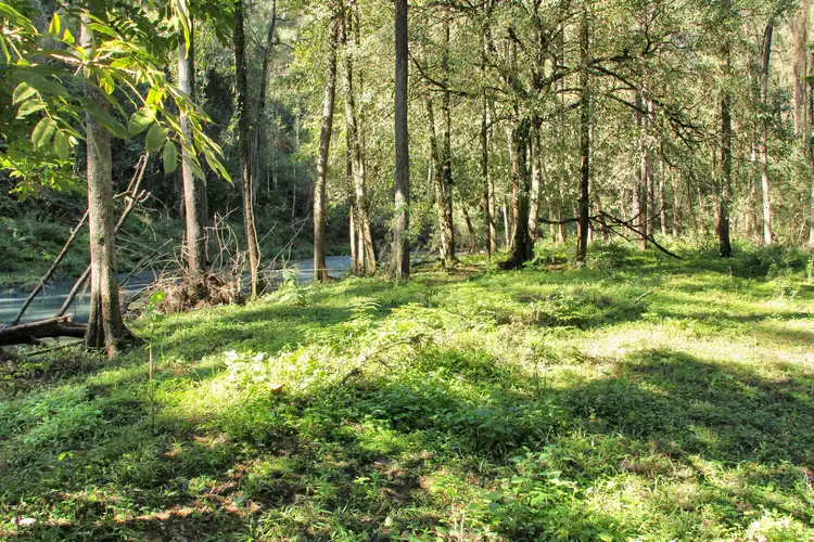 Fifth view of Homely land listing, Lot1 DP 810064 Iron Pot Creek Road, Ghinni Ghi NSW 2474
