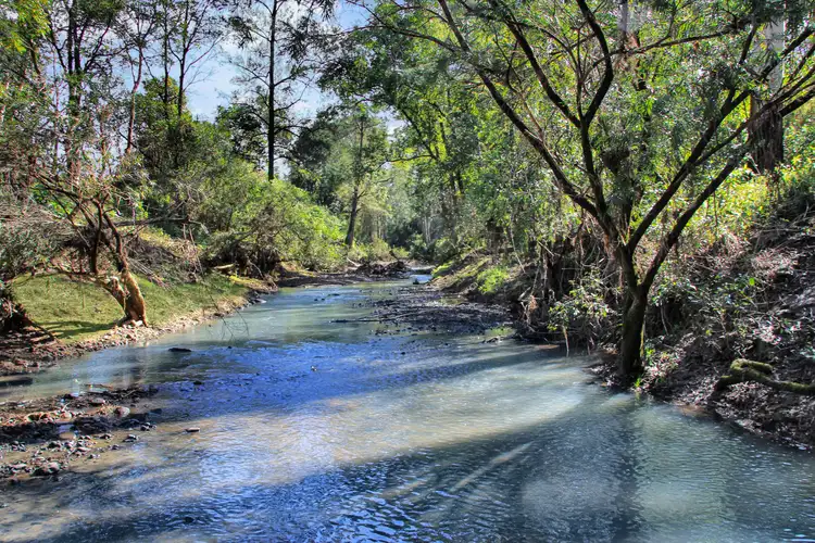 Sixth view of Homely land listing, Lot1 DP 810064 Iron Pot Creek Road, Ghinni Ghi NSW 2474